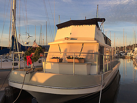 FoxSea II